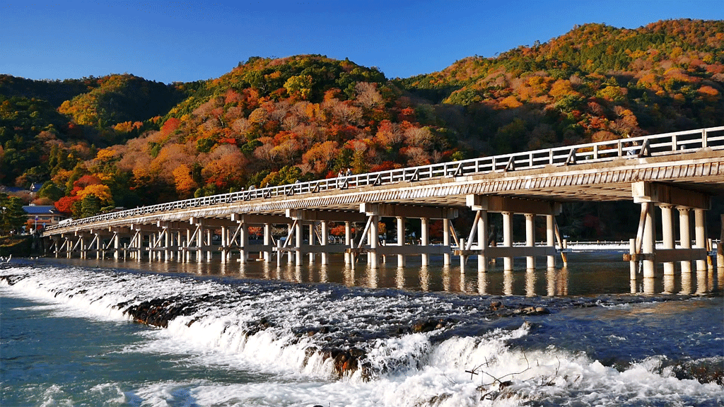 秋の渡月橋と嵐山 gif動画素材
